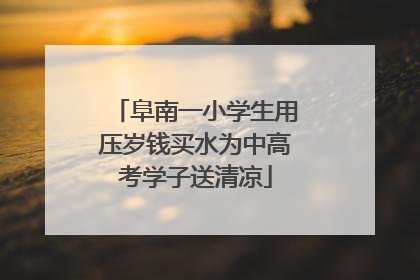 阜南一小学生用压岁钱买水为中高考学子送清凉