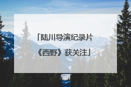 陆川导演纪录片《西野》获关注