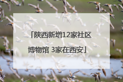 陕西新增12家社区博物馆 3家在西安