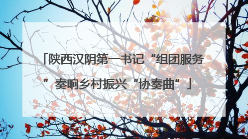 陕西汉阴第一书记“组团服务”奏响乡村振兴“协奏曲”