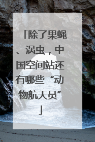 除了果蝇、涡虫，中国空间站还有哪些“动物航天员”
