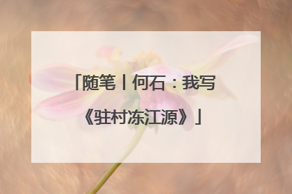 随笔丨何石：我写《驻村冻江源》