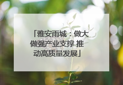 雅安雨城：做大做强产业支撑 推动高质量发展