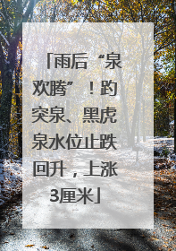 雨后“泉欢腾”！趵突泉、黑虎泉水位止跌回升，上涨3厘米