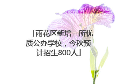 雨花区新增一所优质公办学校，今秋预计招生800人