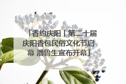香约庆阳丨第二十届庆阳香包民俗文化节启幕 潘鲁生宣布开幕