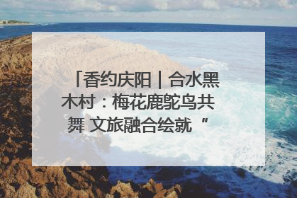 香约庆阳｜合水黑木村：梅花鹿鸵鸟共舞 文旅融合绘就“诗与远方”