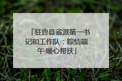 驻曹县省派第一书记和工作队：粽情端午·暖心帮扶