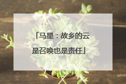 马星：故乡的云是召唤也是责任