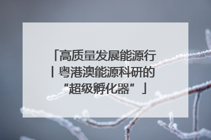 高质量发展能源行丨粤港澳能源科研的“超级孵化器”