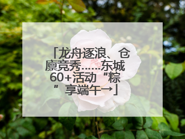 龙舟逐浪、仓廪竞秀……东城60+活动“粽”享端午→