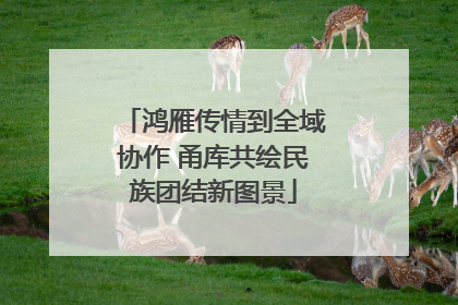 鸿雁传情到全域协作 甬库共绘民族团结新图景