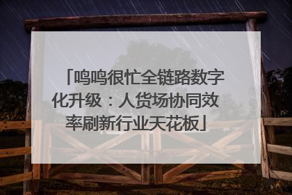 鸣鸣很忙全链路数字化升级：人货场协同效率刷新行业天花板