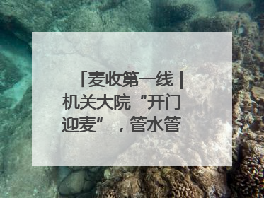麦收第一线｜机关大院“开门迎麦”，管水管饭真不赖