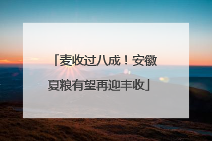 麦收过八成！安徽夏粮有望再迎丰收