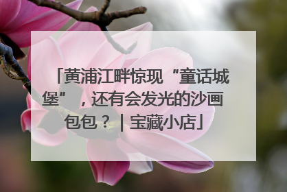 黄浦江畔惊现“童话城堡”，还有会发光的沙画包包？｜宝藏小店