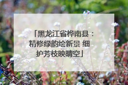 黑龙江省桦南县：精修绿韵绘新景 细护芳枝映晴空