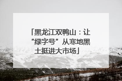 黑龙江双鸭山：让“绿字号”从寒地黑土挺进大市场