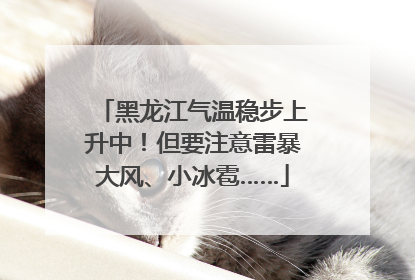 黑龙江气温稳步上升中！但要注意雷暴大风、小冰雹……