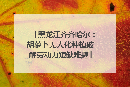 黑龙江齐齐哈尔：胡萝卜无人化种植破解劳动力短缺难题