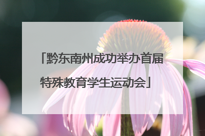 黔东南州成功举办首届特殊教育学生运动会