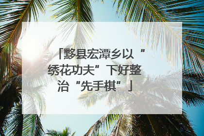 黟县宏潭乡以“绣花功夫”下好整治“先手棋”