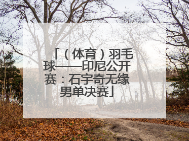 （体育）羽毛球——印尼公开赛：石宇奇无缘男单决赛