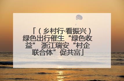 （乡村行·看振兴）绿色出行催生“绿色收益” 浙江瑞安“村企联合体”促共富