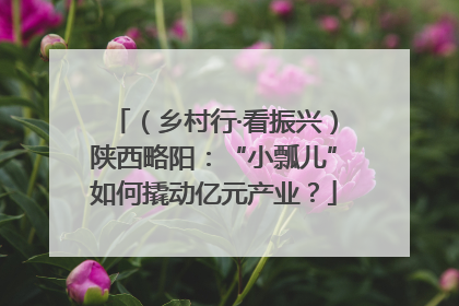 （乡村行·看振兴）陕西略阳：“小瓢儿”如何撬动亿元产业？
