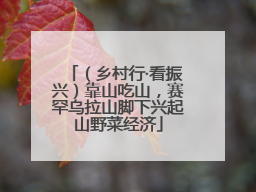 （乡村行·看振兴）靠山吃山，赛罕乌拉山脚下兴起山野菜经济