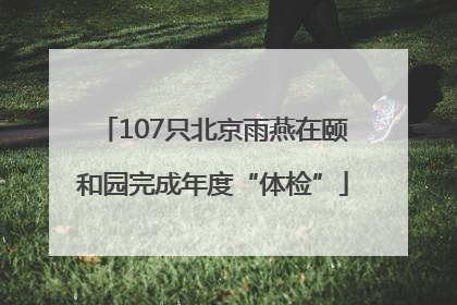 107只北京雨燕在颐和园完成年度“体检”