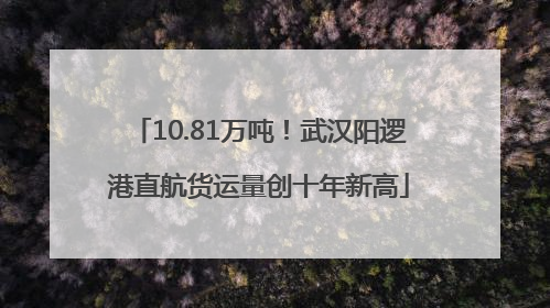 10.81万吨！武汉阳逻港直航货运量创十年新高