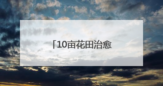 10亩花田治愈3000公里孤独，广水独眼小伙与他的“无尽夏”