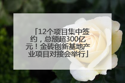 12个项目集中签约，总额超300亿元！金砖创新基地产业项目对接会举行