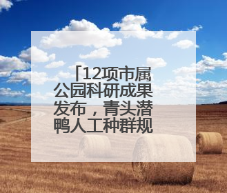 12项市属公园科研成果发布，青头潜鸭人工种群规模破百只