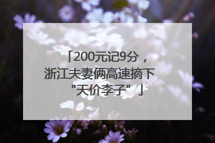 200元记9分，浙江夫妻俩高速摘下“天价李子”