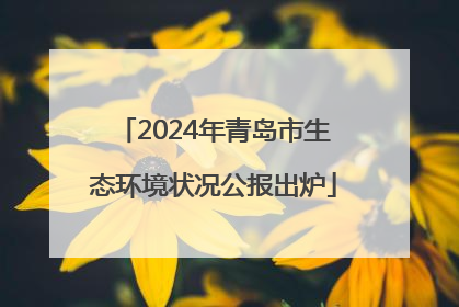 2024年青岛市生态环境状况公报出炉