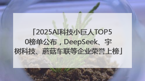 2025AI科技小巨人TOP50榜单公布，DeepSeek、宇树科技、蘑菇车联等企业荣誉上榜