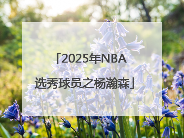 2025年NBA选秀球员之杨瀚森
