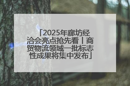 2025年廊坊经洽会亮点抢先看丨商贸物流领域一批标志性成果将集中发布