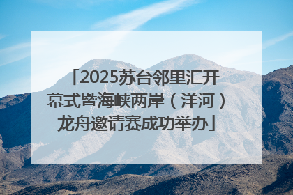 2025苏台邻里汇开幕式暨海峡两岸（洋河）龙舟邀请赛成功举办