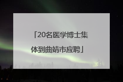 20名医学博士集体到曲靖市应聘