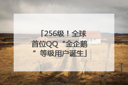 256级！全球首位QQ“金企鹅”等级用户诞生