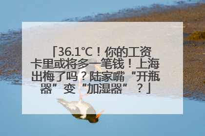 36.1℃！你的工资卡里或将多一笔钱！上海出梅了吗？陆家嘴“开瓶器”变“加湿器”？