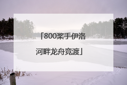800桨手伊洛河畔龙舟竞渡