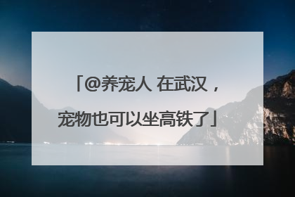 @养宠人 在武汉，宠物也可以坐高铁了