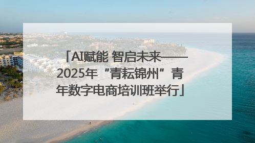 AI赋能 智启未来——2025年“青耘锦州”青年数字电商培训班举行