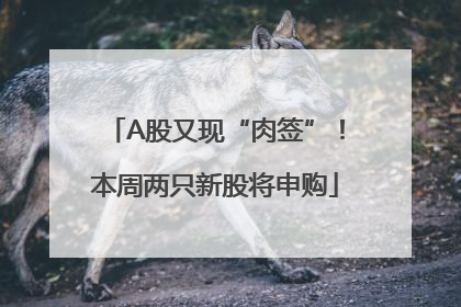 A股又现“肉签”！本周两只新股将申购