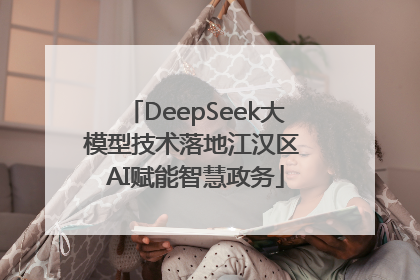 DeepSeek大模型技术落地江汉区 AI赋能智慧政务