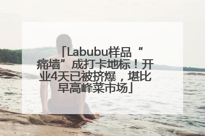 Labubu样品“痛墙”成打卡地标！开业4天已被挤爆，堪比早高峰菜市场